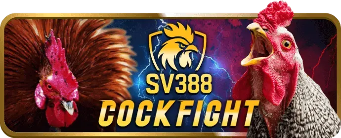 Hỗ trợ khách hàng J88VIP1